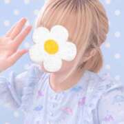 ヒメ日記 2026/08/29 16:08 投稿 あいか ストロベリーハウス