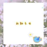 ヒメ日記 2026/09/14 13:00 投稿 あいか ストロベリーハウス