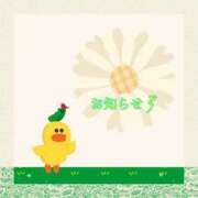 ヒメ日記 2025/02/27 04:00 投稿 あいか コレクション