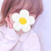 ヒメ日記 2025/10/31 16:54 投稿 あいか コレクション