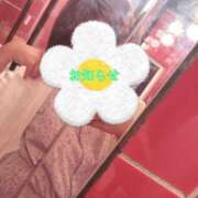 ヒメ日記 2025/11/18 01:31 投稿 あいか コレクション