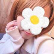 あいか 年末年始何してる？ コレクション