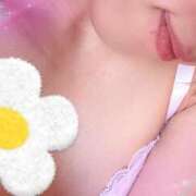 ヒメ日記 2026/04/16 16:58 投稿 あいか コレクション