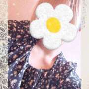 あいか today's…？ コレクション