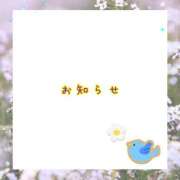 ヒメ日記 2026/09/14 12:46 投稿 あいか コレクション