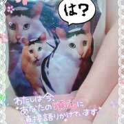 ヒメ日記 2025/03/26 12:01 投稿 紗論(しゃろん) 立川熟女の秘密基地