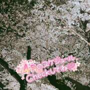 ヒメ日記 2025/04/02 10:46 投稿 紗論(しゃろん) 立川熟女の秘密基地