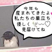 ヒメ日記 2025/04/11 12:07 投稿 紗論(しゃろん) 立川熟女の秘密基地
