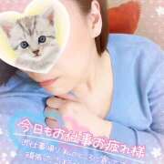 ヒメ日記 2025/04/16 11:31 投稿 紗論(しゃろん) 立川熟女の秘密基地