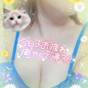 ヒメ日記 2025/05/28 11:41 投稿 紗論(しゃろん) 立川熟女の秘密基地