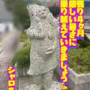 ヒメ日記 2025/08/31 22:34 投稿 紗論(しゃろん) 立川熟女の秘密基地