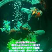 ヒメ日記 2025/09/23 09:27 投稿 紗論(しゃろん) 立川熟女の秘密基地