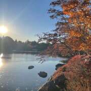 ヒメ日記 2025/11/30 10:37 投稿 紗論(しゃろん) 立川熟女の秘密基地