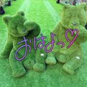 ヒメ日記 2026/06/01 12:28 投稿 紗論(しゃろん) 立川熟女の秘密基地