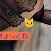 ヒメ日記 2024/12/08 23:36 投稿 かなえ 素人妻達☆マイふぇらレディー