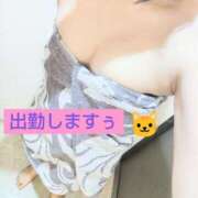 ヒメ日記 2025/03/11 09:25 投稿 かなえ 素人妻達☆マイふぇらレディー