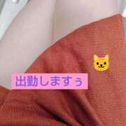 ヒメ日記 2025/03/13 09:34 投稿 かなえ 素人妻達☆マイふぇらレディー