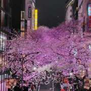 ヒメ日記 2025/04/03 23:25 投稿 かなえ 素人妻達☆マイふぇらレディー