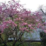 ヒメ日記 2025/04/06 17:01 投稿 かなえ 素人妻達☆マイふぇらレディー