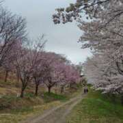ヒメ日記 2025/04/14 22:17 投稿 かなえ 素人妻達☆マイふぇらレディー