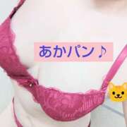 ヒメ日記 2025/05/14 10:45 投稿 かなえ 素人妻達☆マイふぇらレディー