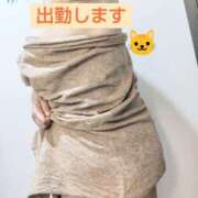 ヒメ日記 2025/10/15 09:30 投稿 かなえ 素人妻達☆マイふぇらレディー