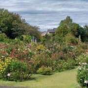 ヒメ日記 2025/10/27 21:57 投稿 かなえ 素人妻達☆マイふぇらレディー