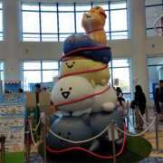 ヒメ日記 2026/01/12 22:23 投稿 かなえ 素人妻達☆マイふぇらレディー