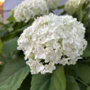 ヒメ日記 2024/12/21 01:02 投稿 こひめ スピードエコ難波店