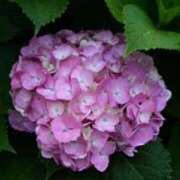 ヒメ日記 2025/06/05 23:02 投稿 こひめ スピードエコ難波店