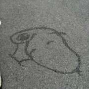 ヒメ日記 2025/07/06 11:02 投稿 こひめ スピードエコ難波店