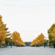 ヒメ日記 2025/12/16 22:22 投稿 こひめ スピードエコ難波店