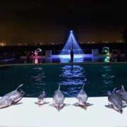 こひめ こひめ（エコ難波店） スピードエコ難波店