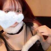 ヒメ日記 2024/12/24 11:30 投稿 えれな Sakura Spa