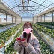 ヒメ日記 2025/02/19 21:20 投稿 えれな Sakura Spa