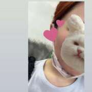 ヒメ日記 2025/06/27 08:20 投稿 えれな Sakura Spa