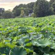ヒメ日記 2025/08/06 10:00 投稿 えれな Sakura Spa