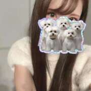 ヒメ日記 2025/11/11 09:00 投稿 えれな Sakura Spa