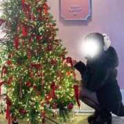 ヒメ日記 2025/12/21 00:30 投稿 えれな Sakura Spa