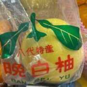 ヒメ日記 2025/12/31 23:23 投稿 えれな Sakura Spa