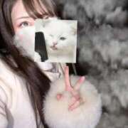 ヒメ日記 2026/02/15 14:30 投稿 えれな Sakura Spa