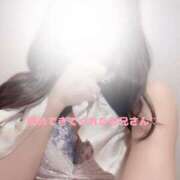 ヒメ日記 2025/11/11 15:00 投稿 ことの 池袋マリン別館