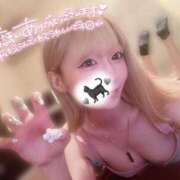 ヒメ日記 2024/12/10 12:21 投稿 きいchan AZUL本庄