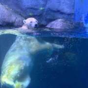 ヒメ日記 2024/12/17 07:44 投稿 美空(みく) 人妻城 横浜本店