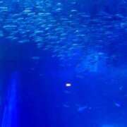 ヒメ日記 2025/08/22 12:16 投稿 美空(みく) 人妻城 横浜本店