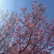 ヒメ日記 2026/03/02 13:15 投稿 美空(みく) 人妻城 横浜本店