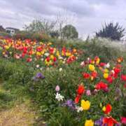 ヒメ日記 2026/04/03 09:47 投稿 美空(みく) 人妻城 横浜本店