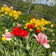 ヒメ日記 2025/05/19 15:46 投稿 葉月　もか ドMな奥様 すすきの店