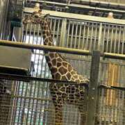 ヒメ日記 2025/07/04 19:26 投稿 葉月　もか ドMな奥様 すすきの店