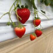 ヒメ日記 2026/02/01 08:54 投稿 ひなの 奥様はエンジェル　立川店